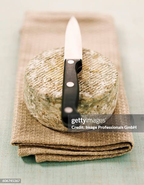 European Razor Clam 128 European Razor Clam Stock Photos, High-Res Pictures, and Images ...