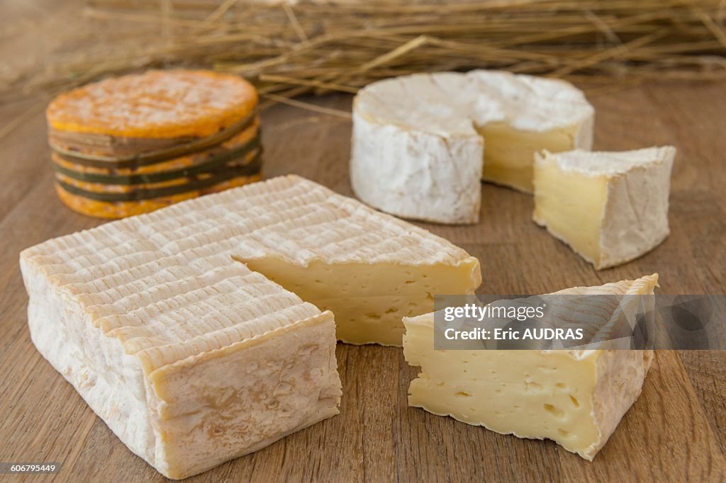 France, Normandy, three typical norman cheeses on cheeseboard