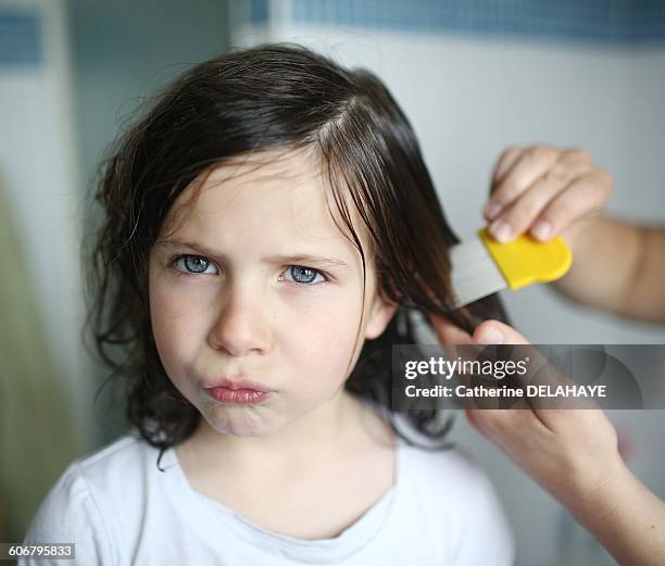 a mother passes a lice comb in the hair of her 6 years old girl - lausd stock-fotos und bilder