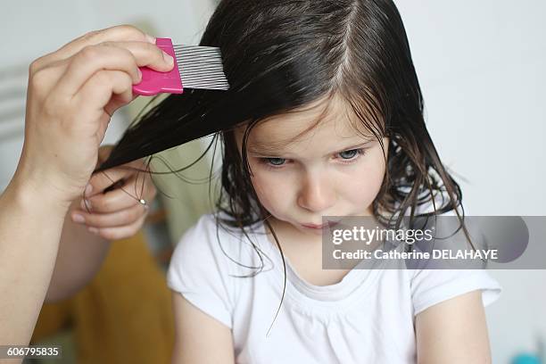 a mother passes a lice comb in the hair of her 6 years old girl - lausd stock-fotos und bilder