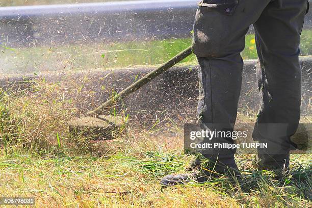man using strimmer - brushcutter stock pictures, royalty-free photos & images