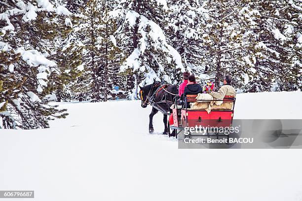 france, pyrenees, ariege, family carriage ride in the forest - horse carriage bildbanksfoton och bilder