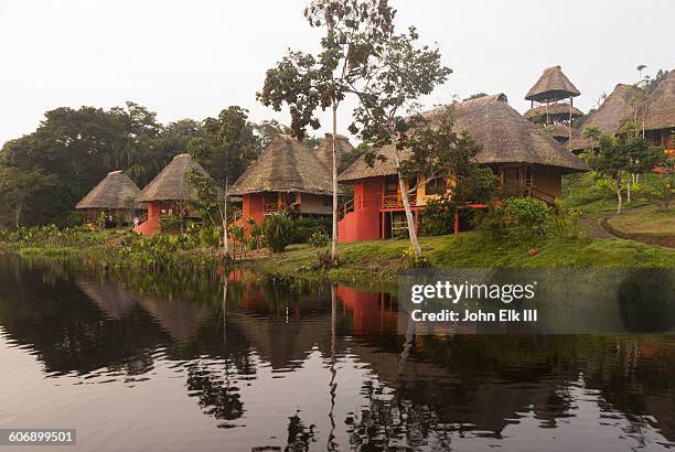 lodge in amazon rainforest - foret amazonienne photos et images de collection