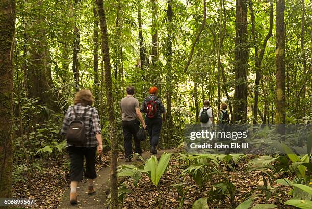 people hiking through amazon rainforest - amazon rainforest people stock pictures, royalty-free photos & images