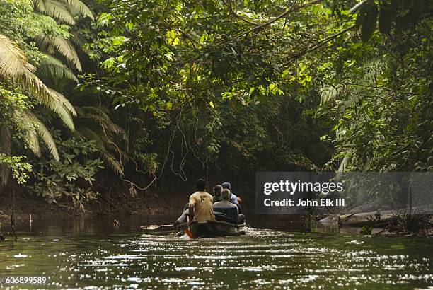 pirogue exploring amazon rainforest - yasuni national park stock pictures, royalty-free photos & images