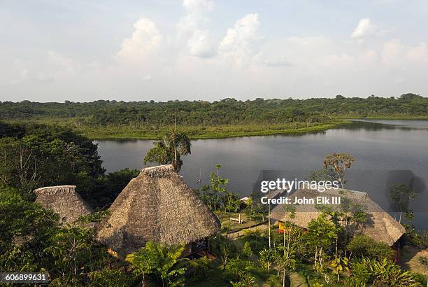 lodge in amazon rainforest - yasuni national park foto e immagini stock