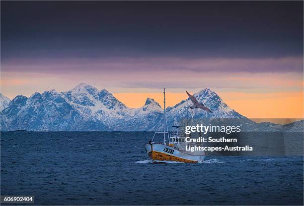 a winter scene at henningsvaer and the returning cod boats, lofoten peninsular, arctic circle of norway - kabeljau stock-fotos und bilder