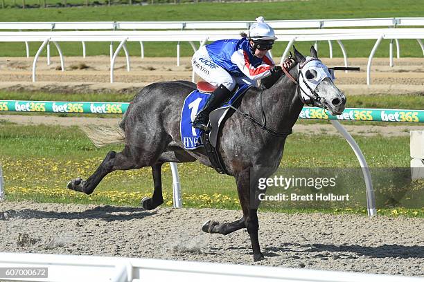 Magwitch ridden by Stephanie Thornton wins PRC Membership BM58 Handicap at Racing.com Park Synthetic Racecourse on September 17, 2016 in Pakenham,...