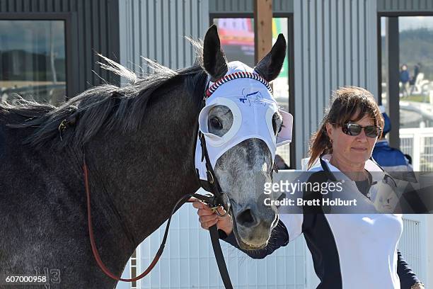Magwitch after winning PRC Membership BM58 Handicap at Racing.com Park Synthetic Racecourse on September 17, 2016 in Pakenham, Australia.
