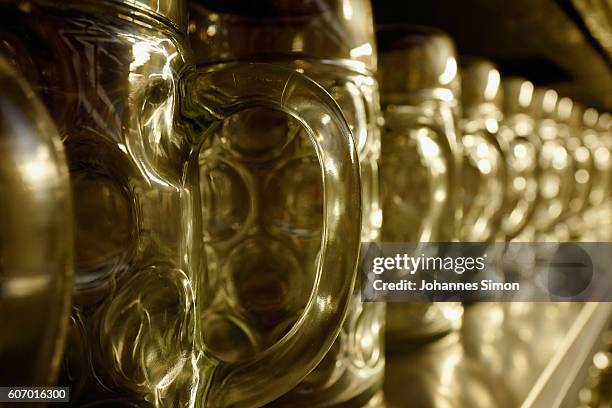 Empty beer mugs are ready for use prior to the kick off the 2016 Oktoberfest beer festival in the Hacker-Pschorr tent at Theresienwiese on September...