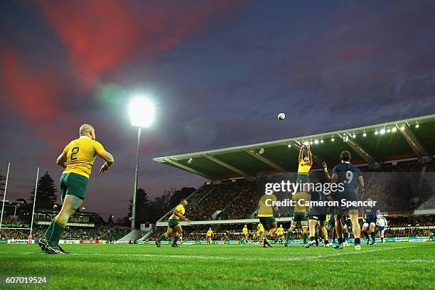 Wallabies captain Stephen Moore throws a lineout ball during the Rugby Championship match between the Australian Wallabies and Argentina at nib...