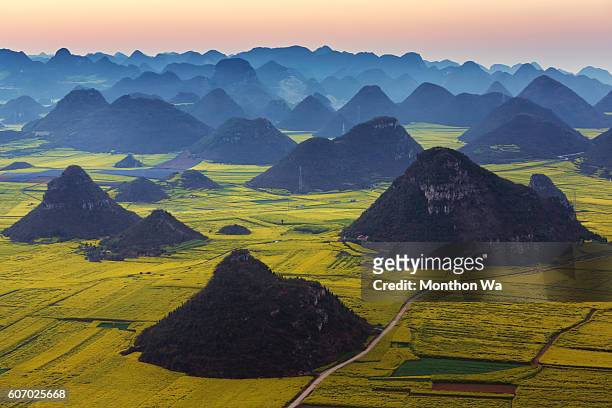 luoping yunnan rape flower,china - yunnan province stock pictures, royalty-free photos & images