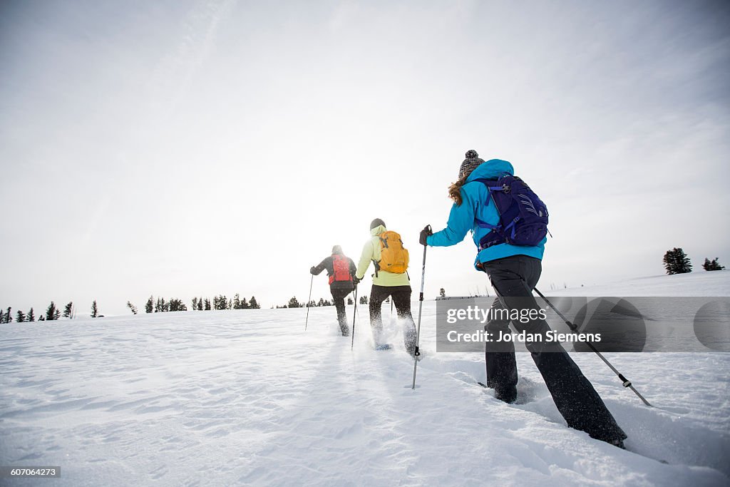 Snow shoeing in the Winter