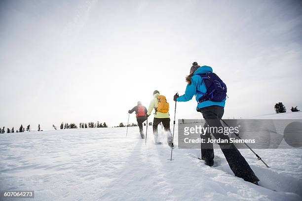 snow shoeing in the winter - schneeschuhwandern stock-fotos und bilder