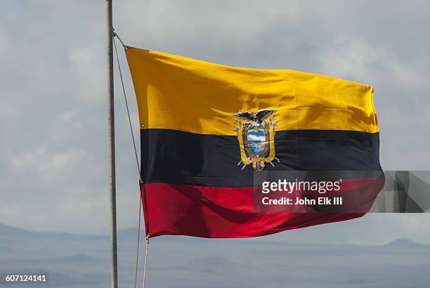 ecuadorian flag - ecuador stock-fotos und bilder