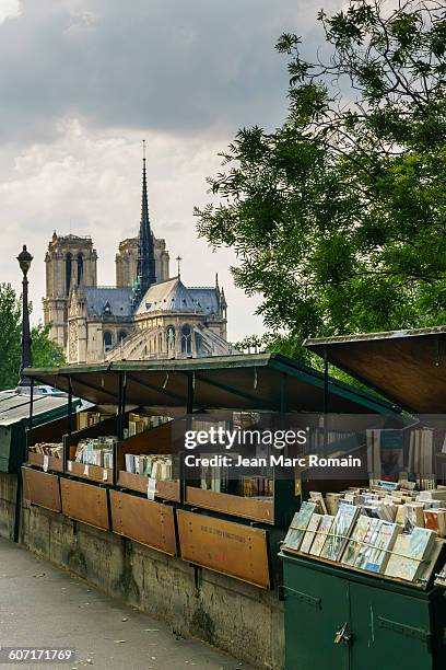 notre dame of paris and the "quais" - marché de plein air photos et images de collection