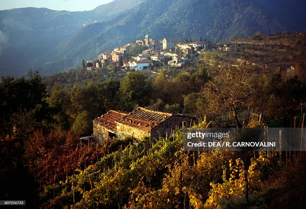 View of Giucano, village of Fosdinovo, Lunigiana, Tuscany, Italy...