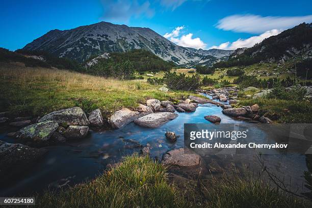 beautiful stream in a mountain valley - bulgarije stockfoto's en -beelden