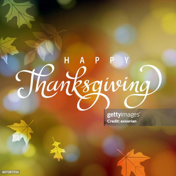 bildbanksillustrationer, clip art samt tecknat material och ikoner med thanksgiving in autumn - thanksgiving background