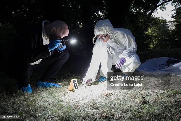 crime scene investigation - dead person stock pictures, royalty-free photos & images
