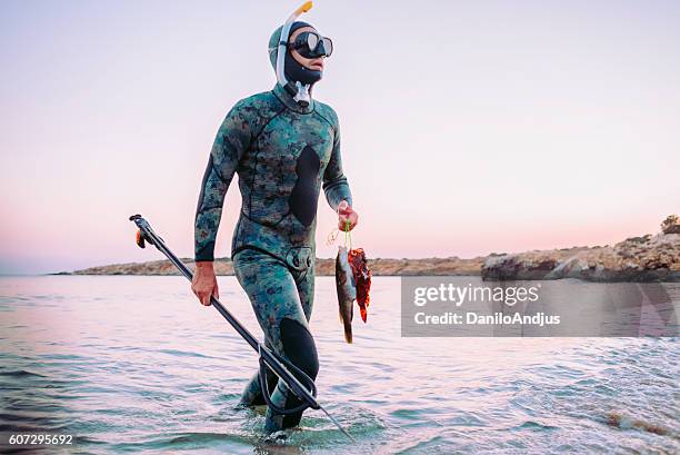 photo of a freediver coming back from spear fishing - harpoen stockfoto's en -beelden