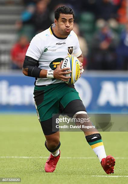 George Pisi 896 George Pisi Photos & High Res Pictures - Getty Images