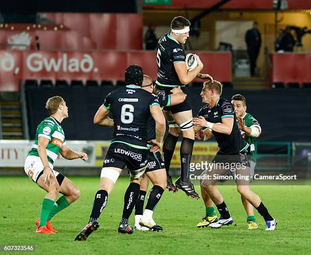 Rory Thornton of Ospreys claims the lineout during the Guinness PRO12 Round 3 match between Ospreys and Benetton Rugby Treviso at Liberty Stadium on...