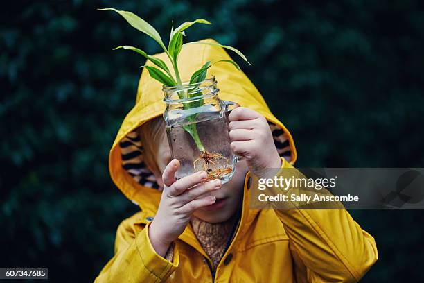 little boy with a plant in a jar of water - curiosity foto e immagini stock