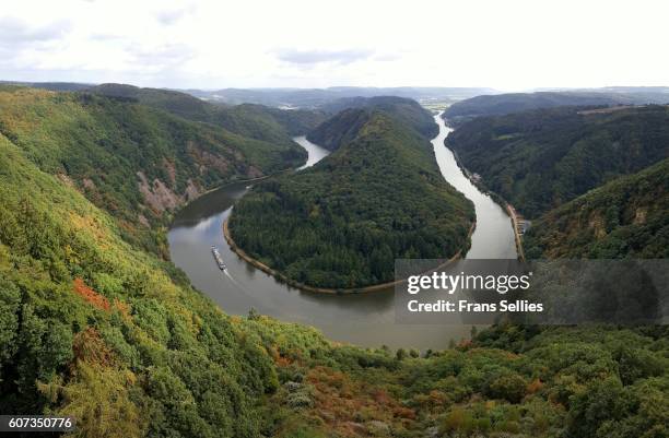 saarschleife river bend in saarland, germany - mettlach stock pictures, royalty-free photos & images