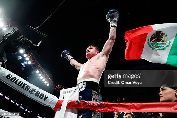 Canelo Alvarez celebrates after knocking out Liam Smith, lower, during the WBO Junior Middleweight World fight at AT&T Stadium on September 17, 2016...