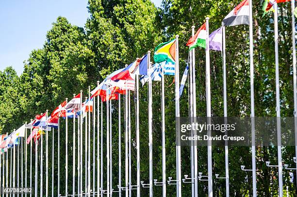 flags - world expo continues stock pictures, royalty-free photos & images