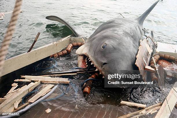 On the set of Jaws, directed by Steven Spielberg.