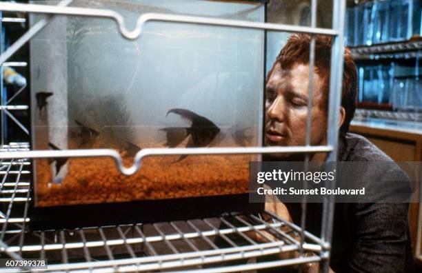 Mickey Rourke Rumble Fish Scene Rumble Fish Photos and Premium High Res Pictures - Getty Images
