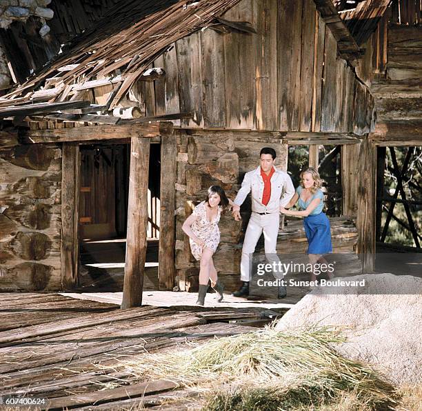 American singer and actor Elvis Presley with actresses Yvonne Craig and Pamela Austin in Kissin' Cousins, directed by Gene Nelson.