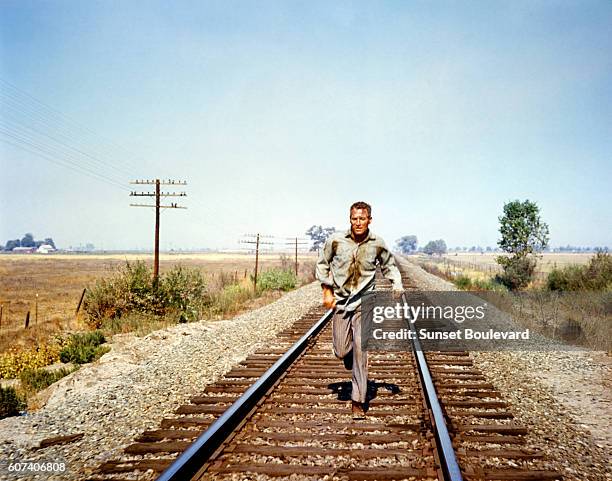 Stuart Rosenberg Stuart Newman Photos and Premium High Res Pictures - Getty Images