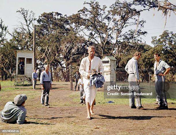 Stuart Rosenberg 231 Stuart Newman Stock Photos, High-Res Pictures, and Images - Getty ...