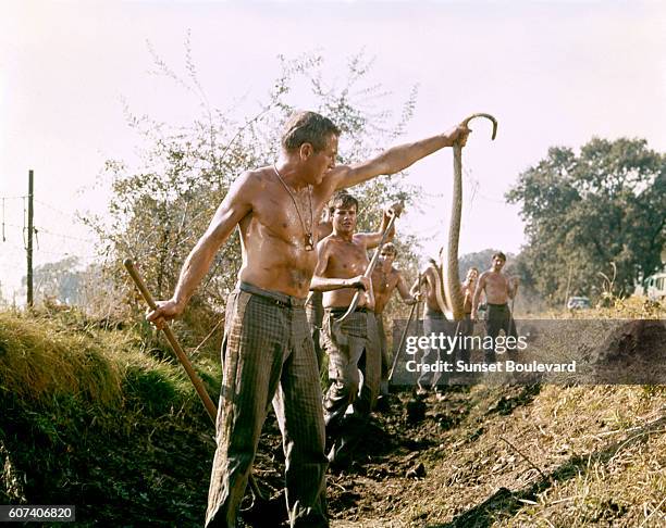 Stuart Rosenberg Stuart Newman Photos and Premium High Res Pictures - Getty Images