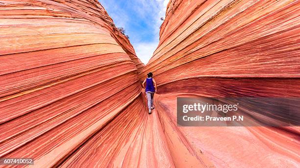 maze formation of the wave - the wave utah stock pictures, royalty-free photos & images