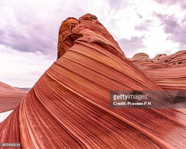sandstone rock formation - the wave coyote buttes stock pictures, royalty-free photos & images