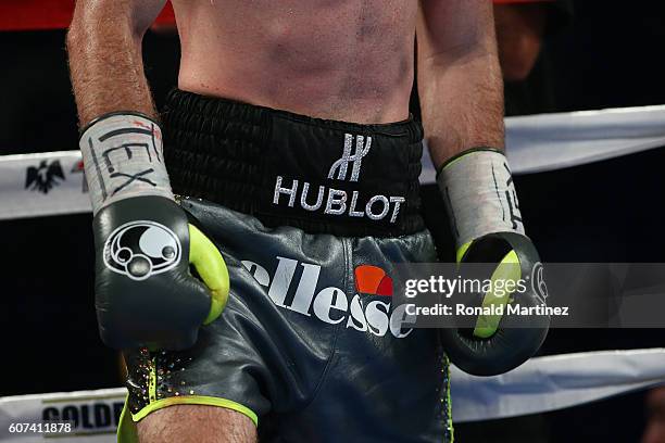 Liam Smith of Great Britain during his WBO Junior Middleweight World fight against Canelo Alvarez of Mexico at AT&T Stadium on September 17, 2016 in...