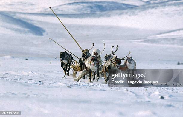 The Transsibering raid starts in Nadym, Former U.S.S.R., and finishes at the Bering Strait. Participants cross Siberia using animal-drawn or moptor...