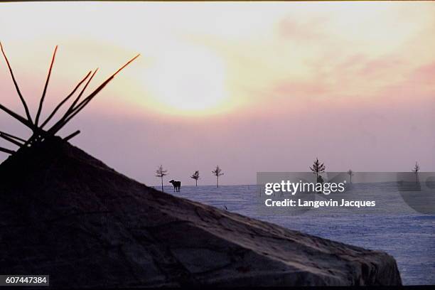 Youkagir and Chukchi camp.