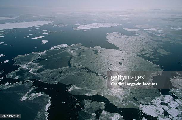 Ice sheets melt into the Bering Sea. The 1992-1993 Transsibering Expedition crossed Siberia from Nadym to the Bering Strait, studying and interacting...