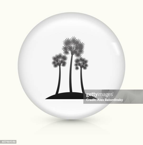 palm tree icon on white round vector button - palm tree shadow stock illustrations