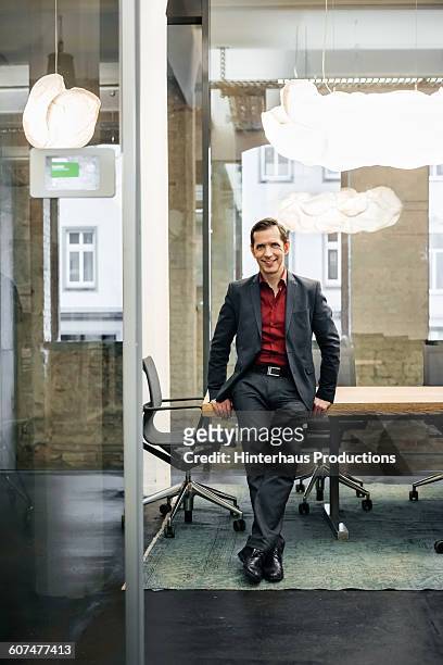 portrait of mature businessman in modern office - vanguardians 個照片及圖片檔