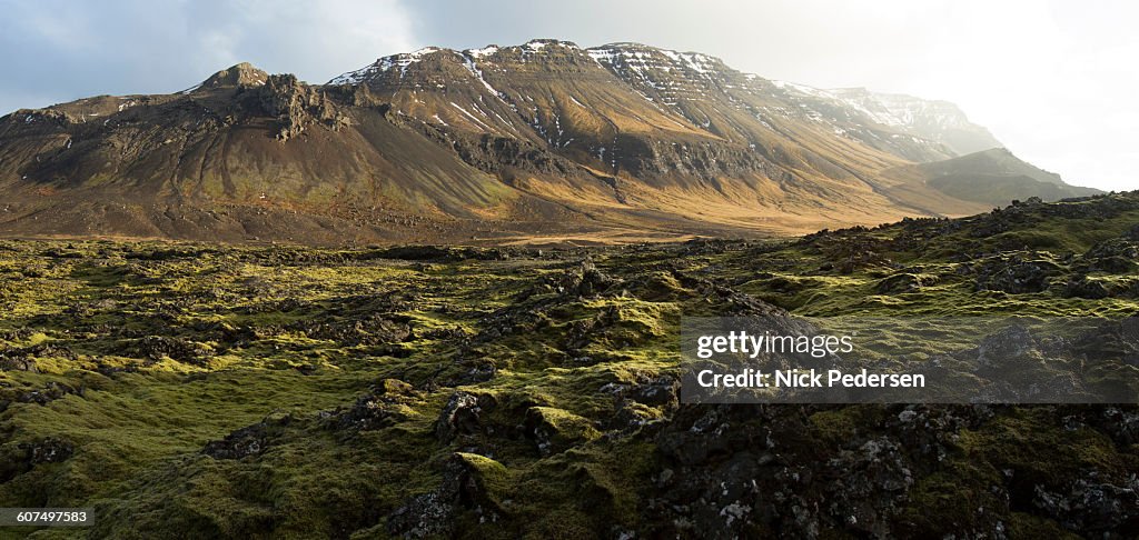 Lava Field in Snaefellsnes
