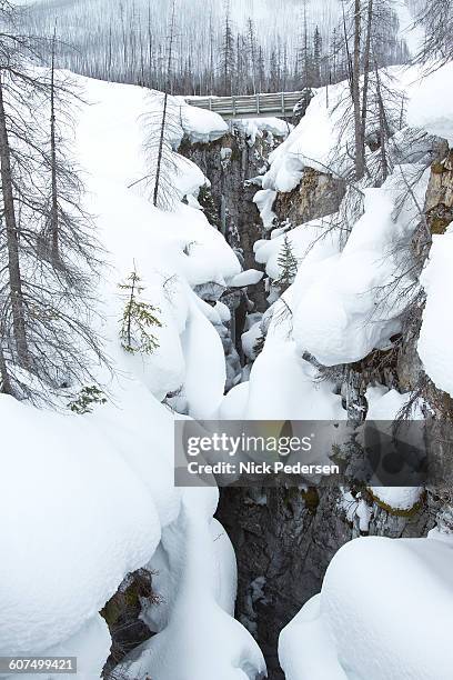 bridge at marble canyon - marble canyon foto e immagini stock