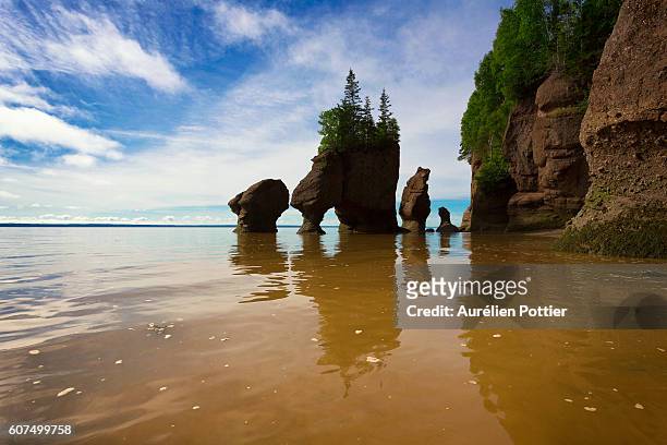 hopewell rocks, lovers arch at high tide - bay of fundy stockfoto's en -beelden
