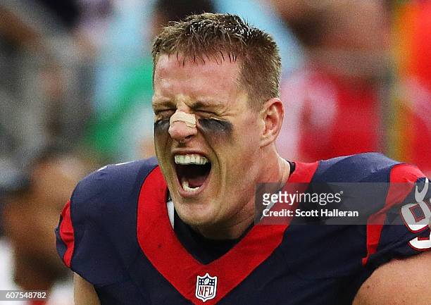Watt of the Houston Texans celebrates a play in the second quarter of their game against the Kansas City Chiefs at NRG Stadium on September 18, 2016...