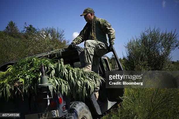 Member of the Kentucky State Police Cannabis Suppression Branch sits on an AM General LLC High Mobility Multipurpose Wheeled Vehicles with...